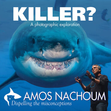 AMOS NACHOUM: KILLER?