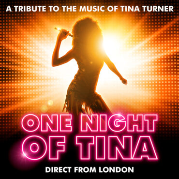 ONE NIGHT OF TINA
